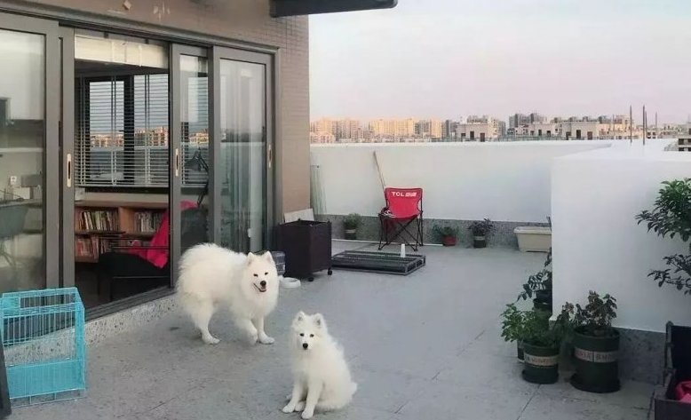 门窗选购