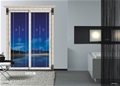 门业图片-推拉门品牌代理YHT-369图片