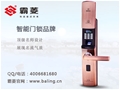 门业图片-佛山指纹防盗锁，安全性能高的电子指纹锁批发ZF-16s图片