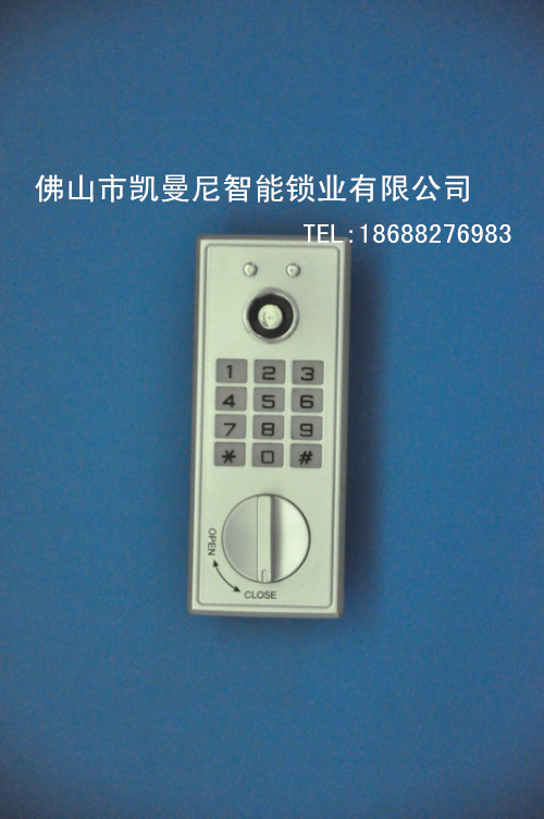 门业图片-电子智能锁凯曼尼电子智能锁/密码加感应桑拿锁/柜锁M2M2图片