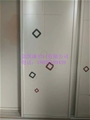 门业图片-河北钛镁合金衣柜门价格齐全图片