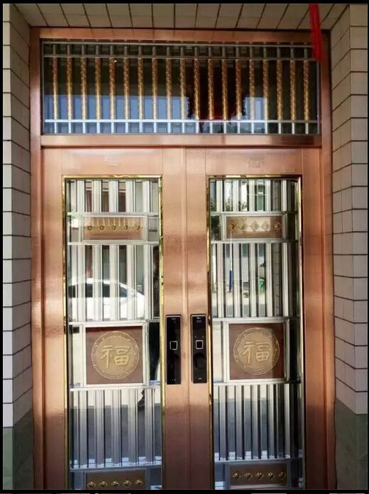 门业图片-双开门拉丝双开门JN-1031图片